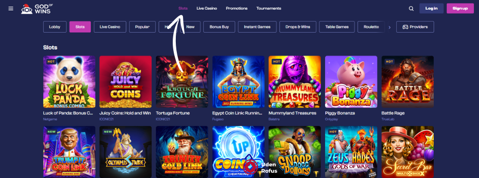 God of Wins casino slot